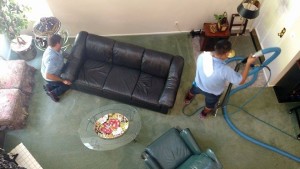 Professional Carpet Cleaning in Los Angeles