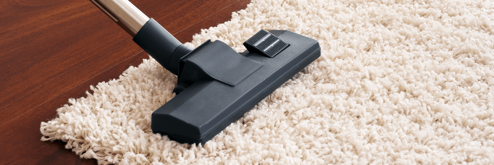 Home | Carpet Savers