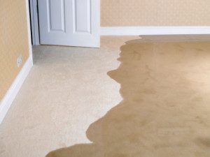 Partially wet carpet near an open door showing a damp stain.